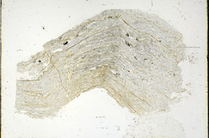 Plane Polarized, S89872