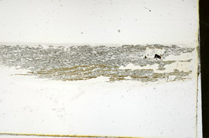 Plane Polarized, S89873