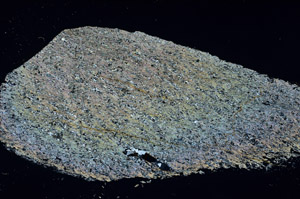 Cross Polarized, S89874