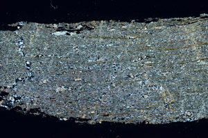 Cross Polarized, S89875