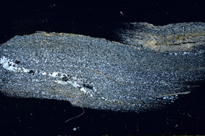 Cross Polarized, S89877