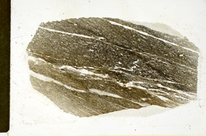 Plane Polarized, S89878