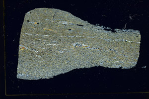 Cross Polarized, S89879