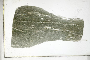 Plane Polarized, S89879