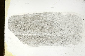 Plane Polarized, S89880