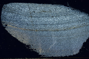 Cross Polarized, S89882