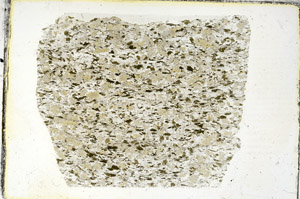 Plane Polarized, S89883
