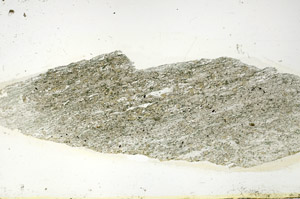 Plane Polarized, S89884