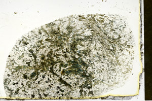 Plane Polarized, S89888