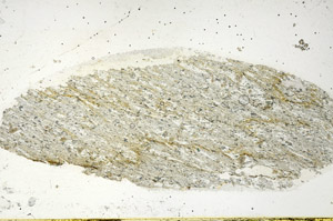 Plane Polarized, S89889