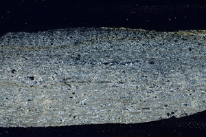 Cross Polarized, S89890