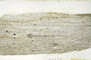 Plane Polarized, S89890