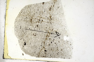 Plane Polarized, S89891