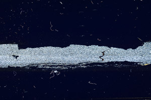 Cross Polarized, S89892