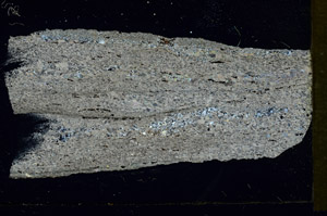 Cross Polarized, S89893