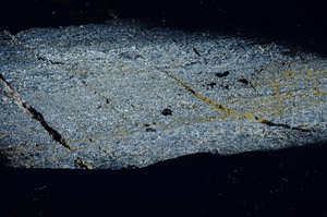 Cross Polarized, S89894