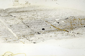 Plane Polarized, S89894