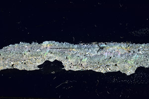 Cross Polarized, S89895