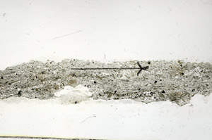 Plane Polarized, S89895