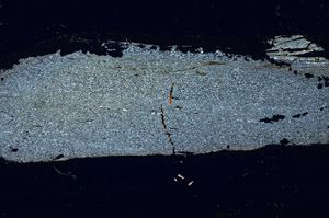 Cross Polarized, S89896