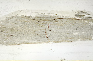 Plane Polarized, S89896