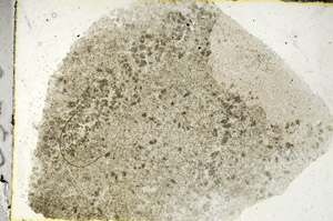 Plane Polarized, S89897