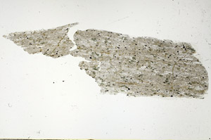 Plane Polarized, S89899