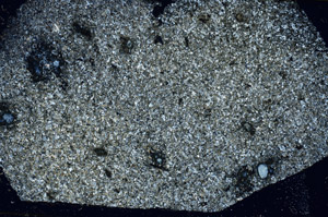 Cross Polarized, S89903