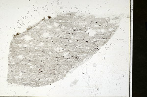 Plane Polarized, S89908