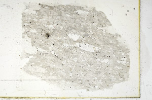 Plane Polarized, S89909