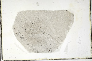 Plane Polarized, S89911