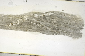 Plane Polarized, S89913