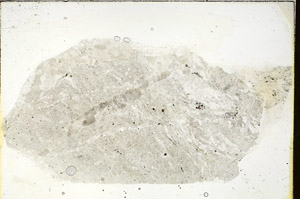 Plane Polarized, S89914