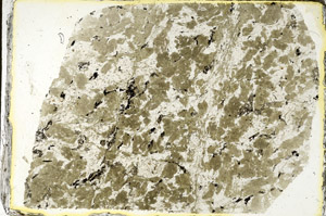 Plane Polarized, S89918