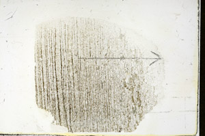 Plane Polarized, S89919