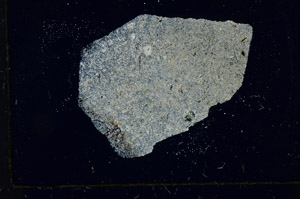 Cross Polarized, S89921