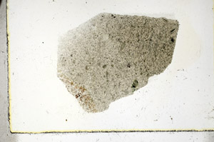 Plane Polarized, S89921