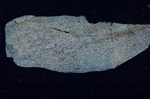 Cross Polarized, S89922