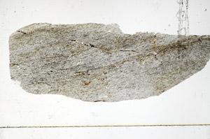 Plane Polarized, S89922