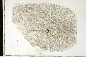 Plane Polarized, S89923