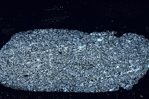Cross Polarized, S89924
