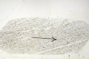 Plane Polarized, S89924