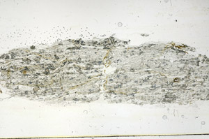 Plane Polarized, S89927