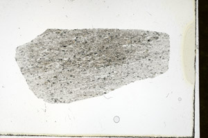 Plane Polarized, S89928