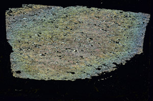 Cross Polarized, S89929