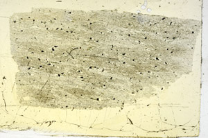 Plane Polarized, S89929