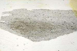 Plane Polarized, S89931