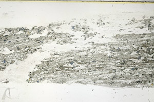 Plane Polarized, S89932