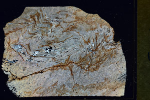 Cross Polarized, S89934