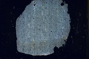 Cross Polarized, S89936